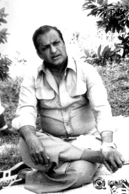 NTR-Birthday-Special-Gallery